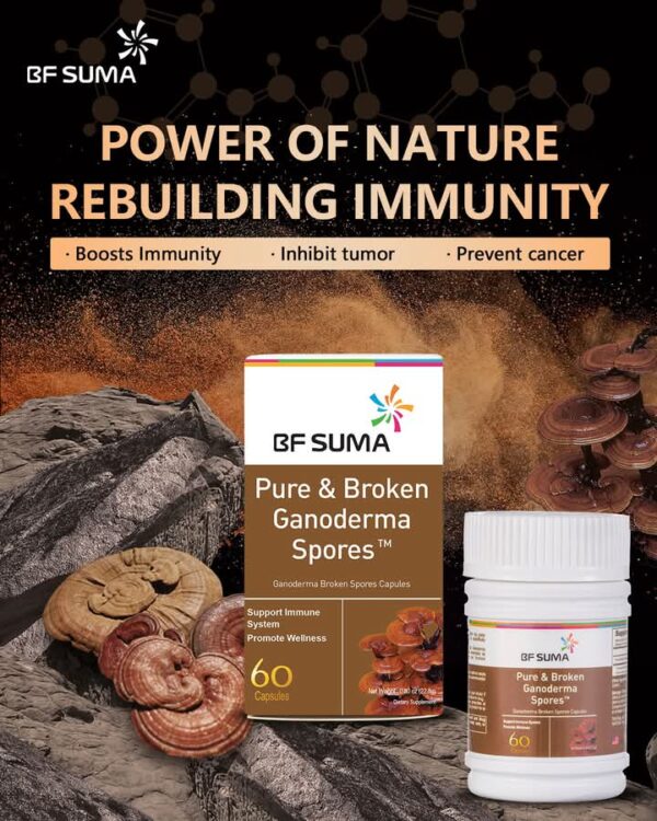 Pure & Broken Ganoderma Spores Oil - Image 3