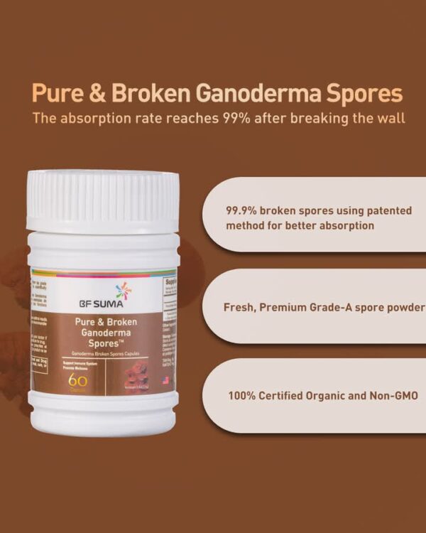 Pure & Broken Ganoderma Spores Oil - Image 4
