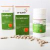 CereBrain2