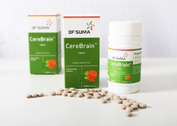 CereBrain2