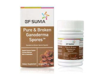 PureBroken